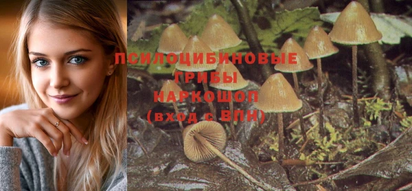 тгк Баксан