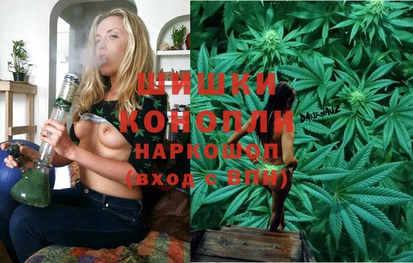 МДПВ Дмитровск