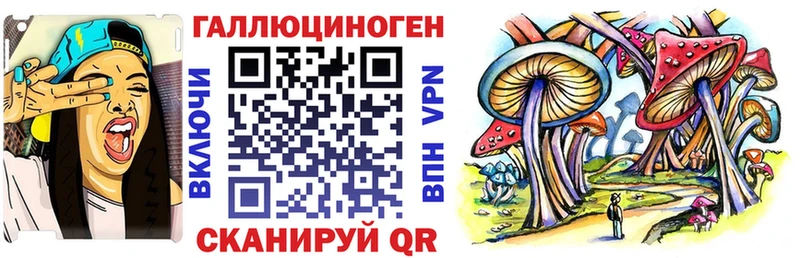 Галлюциногенные грибы Psilocybine cubensis Свободный